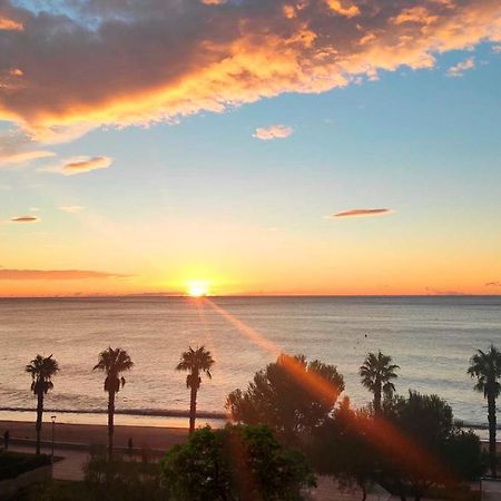 Sunrise Estudio Zebra, Con Vistas Jardin Y Mar Miami Playa Bagian luar foto